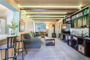 12536 Shafer Pl, Kagel Canyon 91342